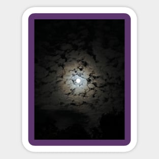 nightsky Sticker